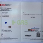 GRS2013-073793