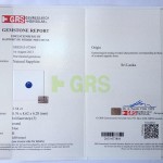 GRS2013-073804