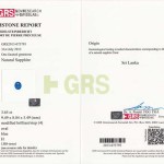 GRS2013-073793